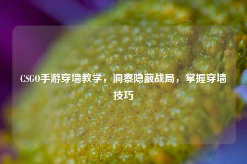 CSGO手游穿墙教学，洞察隐蔽战局，掌握穿墙技巧