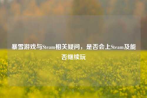 暴雪游戏与Steam相关疑问，是否会上Steam及能否继续玩