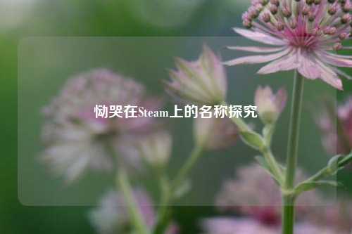恸哭在Steam上的名称探究