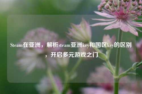 Steam在亚洲,解析steam亚洲key和国区key的区别,开启多元游戏之门