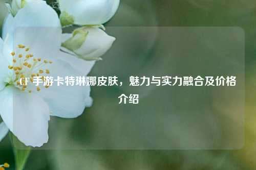 CF 手游卡特琳娜皮肤，魅力与实力融合及价格介绍