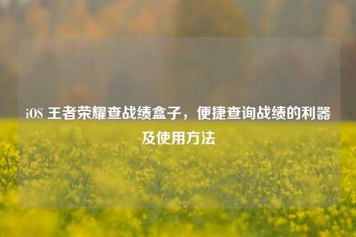 iOS 王者荣耀查战绩盒子,便捷查询战绩的利器及使用方法