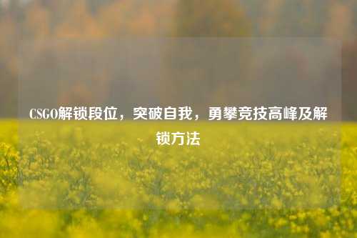 CSGO解锁段位,突破自我,勇攀竞技高峰及解锁方法