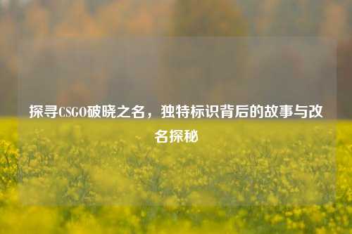 探寻CSGO破晓之名，独特标识背后的故事与改名探秘