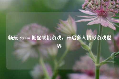 畅玩 Steam 低配联机游戏，开启多人精彩游戏世界