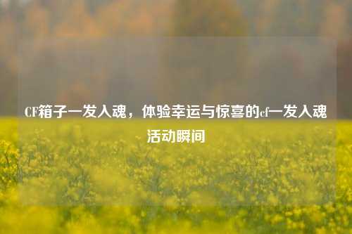 CF箱子一发入魂，体验幸运与惊喜的cf一发入魂活动瞬间