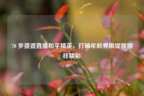 70 岁婆婆直播和平精英，打破年龄界限绽放别样精彩