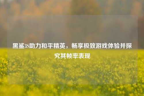 黑鲨3S助力和平精英，畅享极致游戏体验并探究其帧率表现