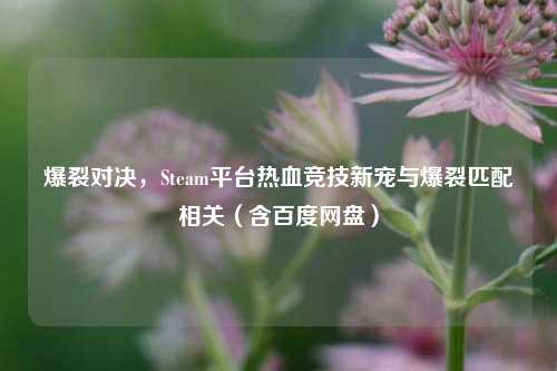 爆裂对决，Steam平台热血竞技新宠与爆裂匹配相关（含百度网盘）