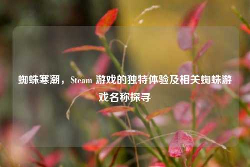 蜘蛛寒潮，Steam 游戏的独特体验及相关蜘蛛游戏名称探寻