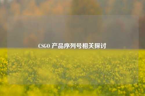 CSGO 产品序列号相关探讨