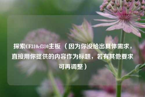 探索CF310cf310主板 （因为你没给出具体需求，直接用你提供的内容作为标题，若有其他要求可再调整）
