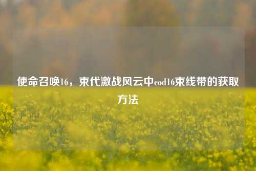 使命召唤16,束代激战风云中cod16束线带的获取方法