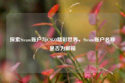探索Steam账户与CSGO精彩世界，Steam账户名称是否为邮箱
