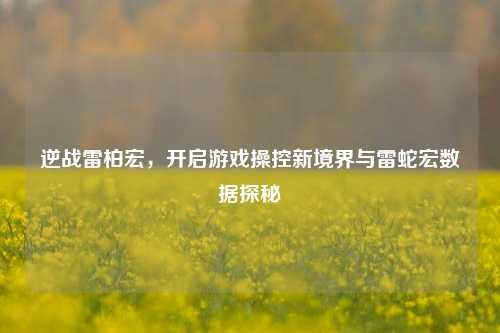 逆战雷柏宏，开启游戏操控新境界与雷蛇宏数据探秘