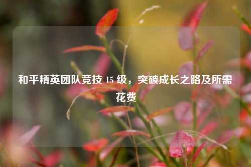 和平精英团队竞技 15 级，突破成长之路及所需花费