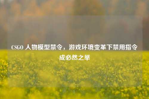 CSGO 人物模型禁令,游戏环境变革下禁用指令成必然之举