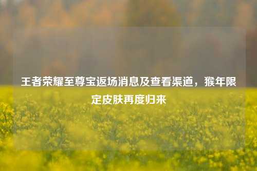 王者荣耀至尊宝返场消息及查看渠道，猴年限定皮肤再度归来