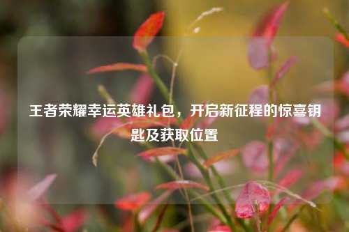 王者荣耀幸运英雄礼包，开启新征程的惊喜钥匙及获取位置