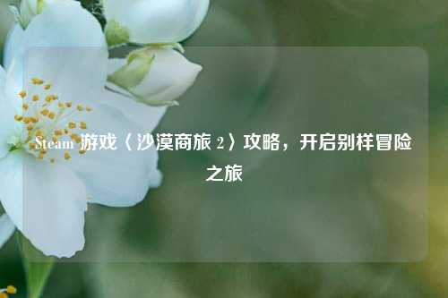 Steam 游戏〈沙漠商旅 2〉攻略，开启别样冒险之旅