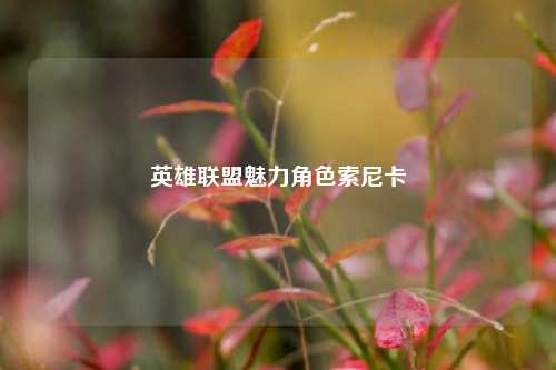 英雄联盟魅力角色索尼卡