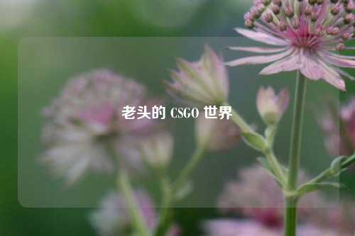 老头的 CSGO 世界