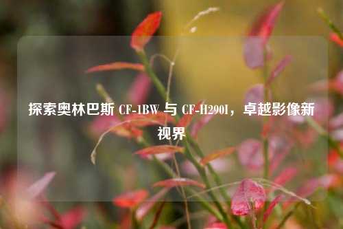 探索奥林巴斯 CF-1BW 与 CF-H290I，卓越影像新视界