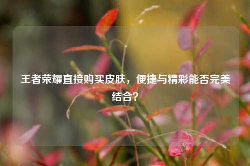 王者荣耀直接购买皮肤，便捷与精彩能否完美结合？