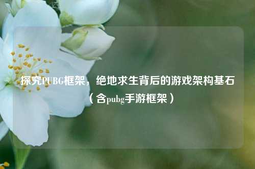 探究PUBG框架，绝地求生背后的游戏架构基石（含pubg手游框架）