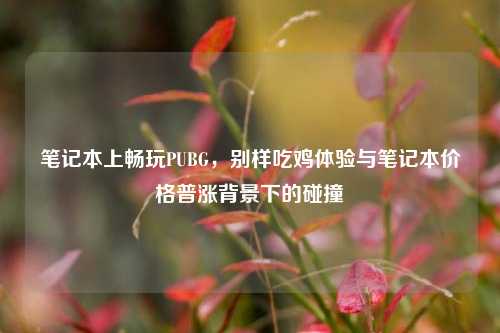 笔记本上畅玩PUBG,别样吃鸡体验与笔记本价格普涨背景下的碰撞