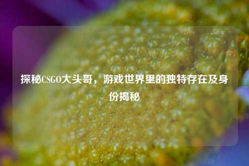 探秘CSGO大头哥，游戏世界里的独特存在及身份揭秘