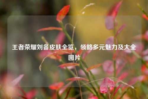 王者荣耀刘备皮肤全览，领略多元魅力及大全图片