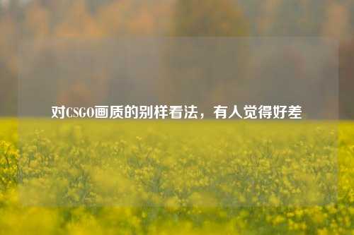 对CSGO画质的别样看法,有人觉得好差
