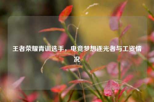 王者荣耀青训选手，电竞梦想逐光者与工资情况