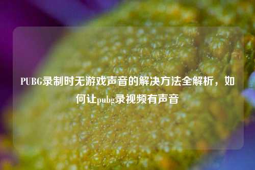 PUBG录制时无游戏声音的解决方法全解析,如何让pubg录视频有声音