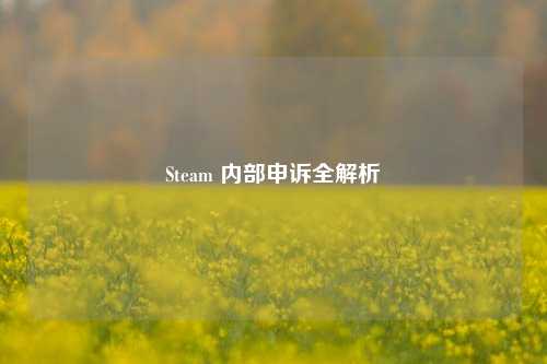 Steam 内部申诉全解析