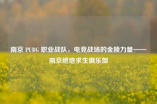 南京 PUBG 职业战队，电竞战场的金陵力量——南京绝地求生俱乐部