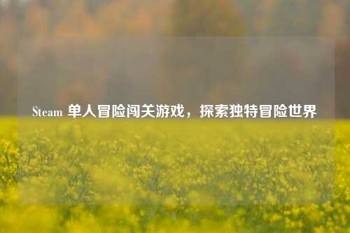 Steam 单人冒险闯关游戏，探索独特冒险世界