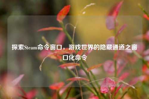 探索Steam命令窗口,游戏世界的隐藏通道之窗口化命令