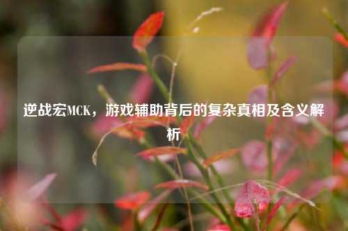逆战宏MCK，游戏辅助背后的复杂真相及含义解析