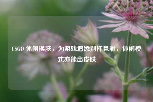 CSGO 休闲换肤，为游戏增添别样色彩，休闲模式亦能出皮肤