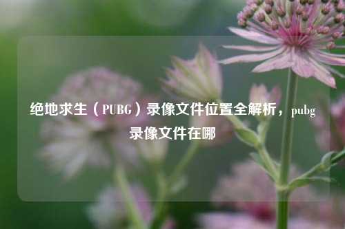 绝地求生（PUBG）录像文件位置全解析，pubg录像文件在哪