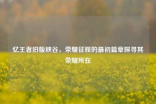 忆王者旧版峡谷，荣耀征程的最初篇章探寻其荣耀所在