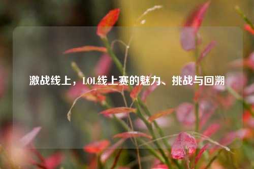 激战线上,LOL线上赛的魅力、挑战与回溯