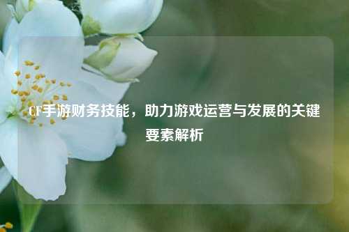CF手游财务技能,助力游戏运营与发展的关键要素解析