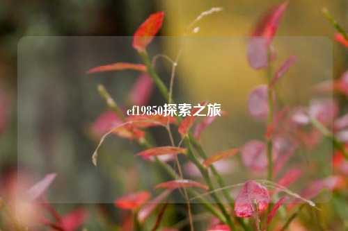 cf19850探索之旅