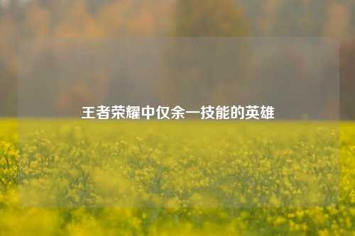 王者荣耀中仅余一技能的英雄