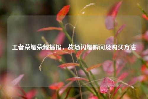 王者荣耀荣耀播报,战场闪耀瞬间及购买方法