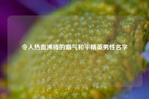 令人热血沸腾的霸气和平精英男性名字