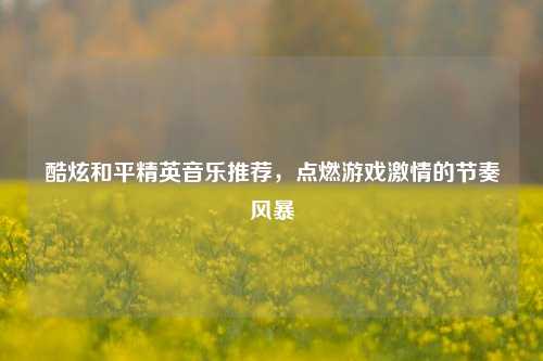 酷炫和平精英音乐推荐,点燃游戏激情的节奏风暴